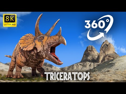 🦖 360° VR Jurassic Park Dinosaur Video T-Rex food hunting #3DVR360VIDEOS  #360video Jurassic World 