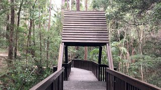 Walking Australia: Lagoon Walk - Maroochy Regional Bushland Botanic Garden by Oztralien 104 views 3 years ago 12 minutes, 21 seconds