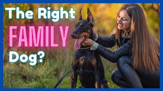 10 Reasons the Doberman is a Great Family Dog (+ 5 Reasons to Pass)