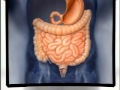 Introduction to Gastroenterology