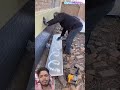 Self-built houses exterior wall insulation construction: Installation thermal insulation panels
