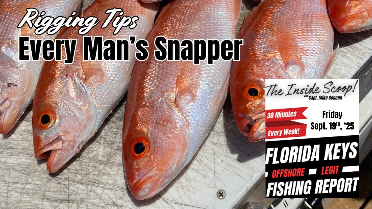 FL Keys Offshore Fishing Report 09/18 | The Inside Scoop w/Capt. Mike Genoun | How-To Hi-Lo Rig