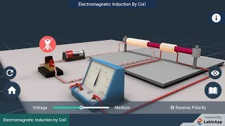 Electromagnetic Induction: by Coil screenshot 1