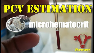 Micro hematocrit PCV | Packed Cell Volume | #hematocrit #microhematocrit #pcv #capillarymethod