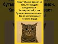 Самая странная пицца в мире!