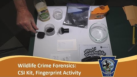 Wildlife Crime Forensics: CSI Kit, Fingerprint Activity