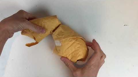 Paper maché armature for animal forms: newspaper/bubble mailers