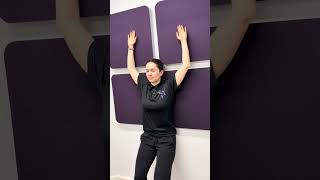 Wall Angel
