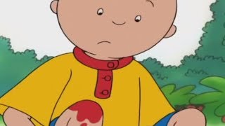 live caillou franais caillou cueille des fraises conte pour enfant dessin anim en entier