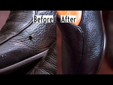 Repair Damaged Leather Like A Pro 