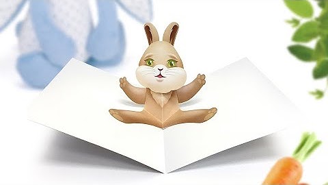Rabbit Pop Up Card