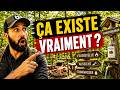 J'ai exploré la forêt noire !!