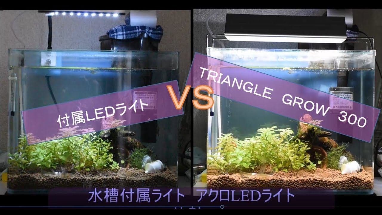 アクロ Led ｔｒｉａｎｇｌｅ ｇｒｏｗ 買ってみた Youtube