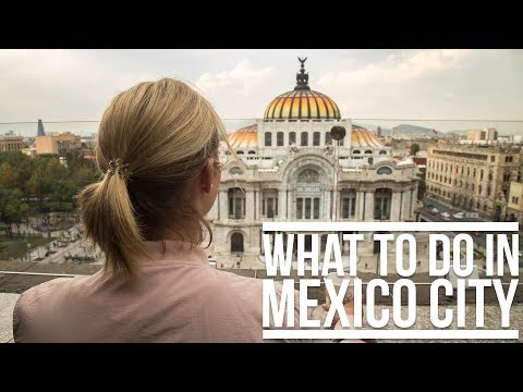 Video: Keliautinių liepų priežiūra – kaip auginti meksikietiškas liepas
