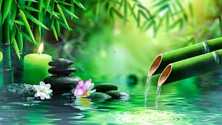 Beautiful Piano Music 🌿 Bamboo, Relaxing Music, Nature Sounds, Relieves Stress Music, Calming music