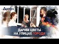 Дарим цветы случайным прохожим! / Дрофа