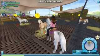 Buying a pony   Continuing pony quests | Star Stable Online
