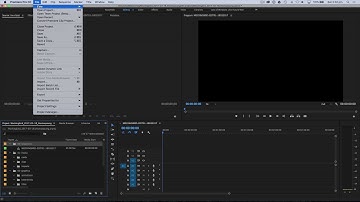 Premiere   Sequences, Bins & Importing