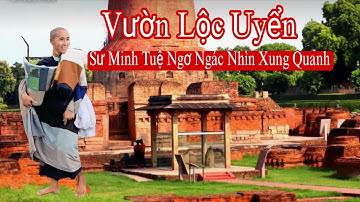 Sư Minh Tuệ ngơ ngác nhìn xung quanh Vườn Lộc Uyển