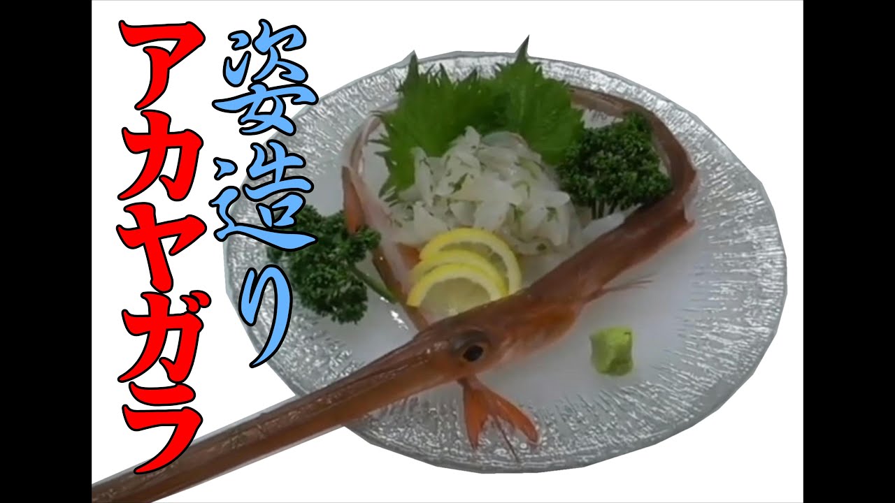 これは美味 アカヤガラの姿造り Youtube