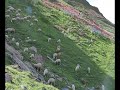 Ratti Gali Azad Kashmir Ratti Gali Azad Kashmir