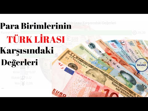 Türk Lirası Karşısında Diğer Para Birimlerinin Değerleri (2006 - 2021)