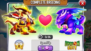 Dragon City: High Scorchwing Dragon vs High Raven Dragon [EXCLUSIVE BREEDING] 