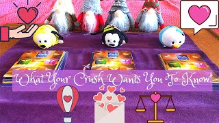  What Does Your Crush Want You To Know? Pick a Card Tarot and Charms/Dice Reading 