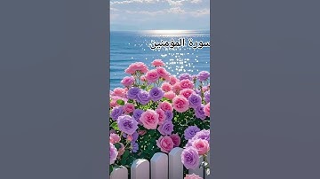 القرآن الكريم راحة نفسية😊