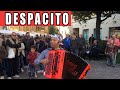 DESPACITO - live Fisarmonica Moderna - MIMMO MIRABELLI