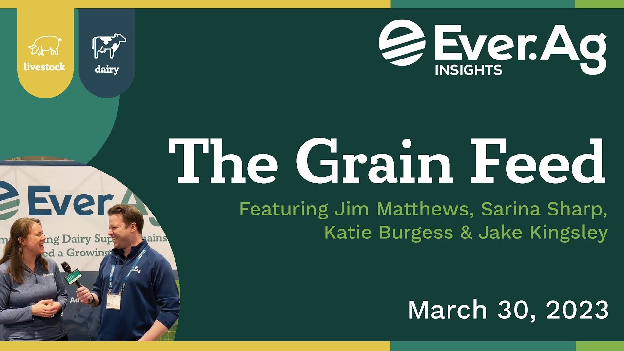 The Grain Feed Central Plains Dairy Expo March 30, 2023 YouTube