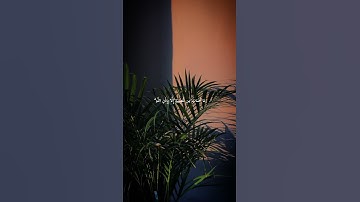 #سورة_التغابن #رعد_الكردي