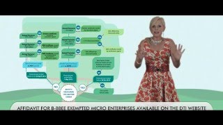 B-BBEE Decision Tree | Old, Amended and Sector Codes