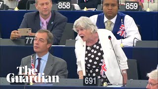 Ann Widdecombe likens Brexit to the emancipation of slaves in EU parliament speech