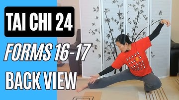 Tai Chi 24, Forms 16-17 Lowering Posture and Stands on One Leg Back View