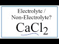 Support Systems and Industry Concepts