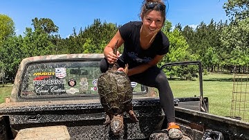 Trapping Turtles: We Caught 7 Snapping Turtles and 3 Got Away!!