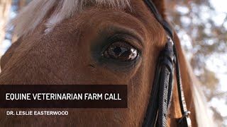 VSCP Summer Series: Equine Veterinarian Farm Call screenshot 3