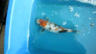 MVI_7753.AVI