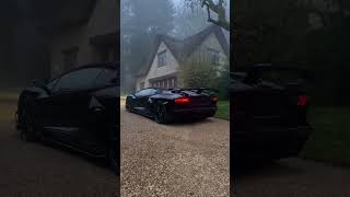 Fire Spitting Lamborghini Svj!! Huge Flames!