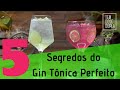 5 SEGREDOS DO GIN TÔNICA PERFEITO