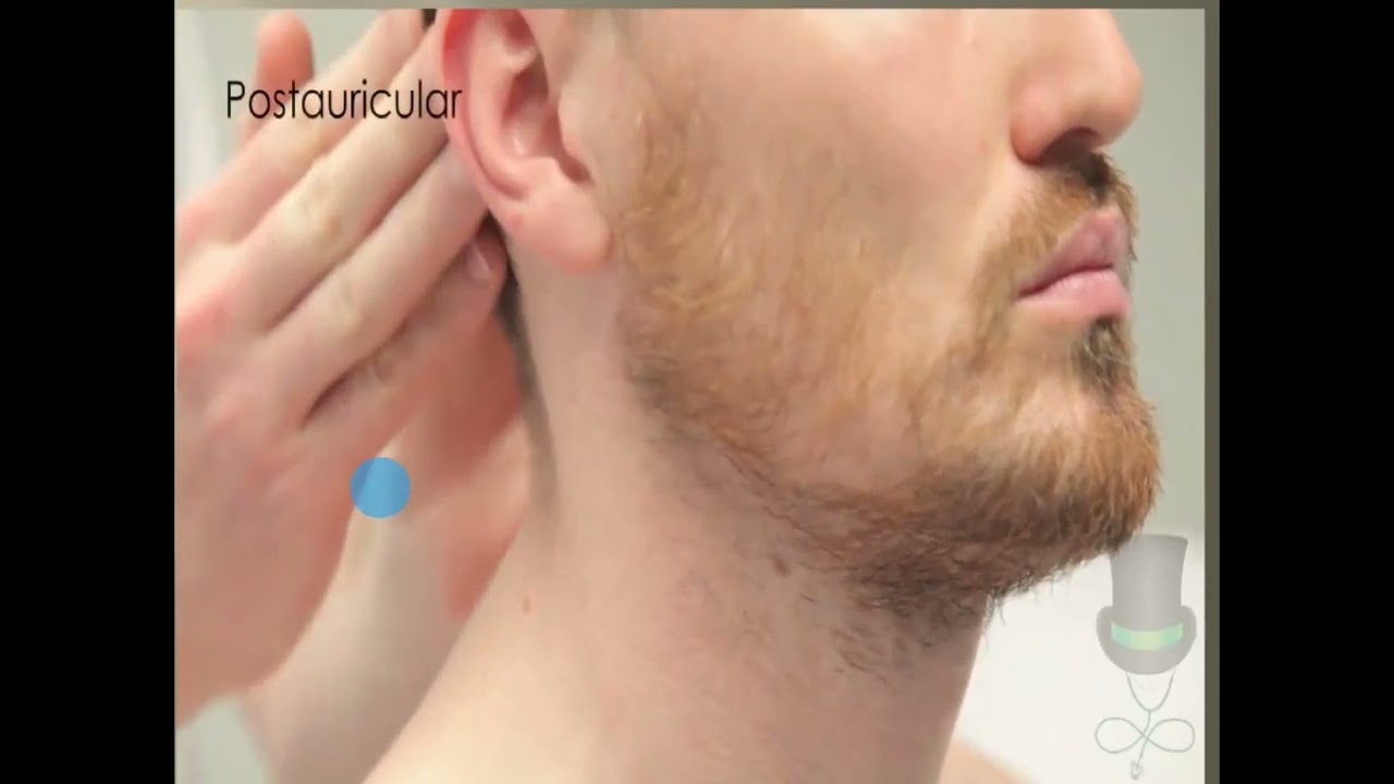 Chest Clinical by Dr Elbaz