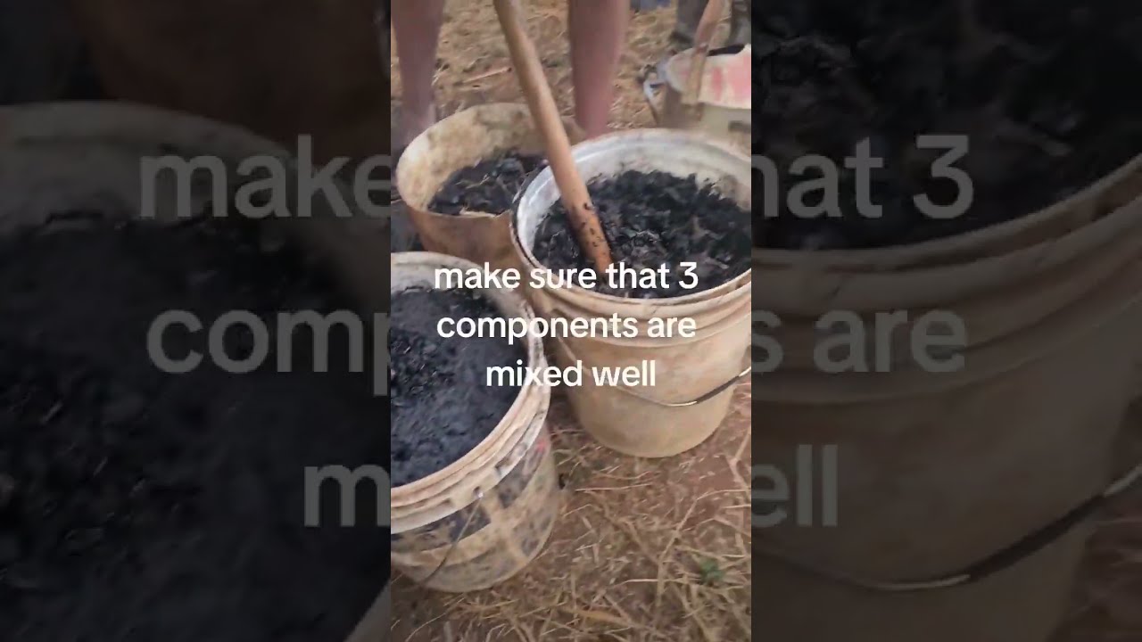 How to activate and inoculate biochar in wonderful Umoja