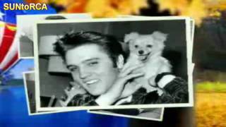 Video voorbeeld van "Elvis Presley - And The Grass Wont Pay No Mind (Alternate Take)"