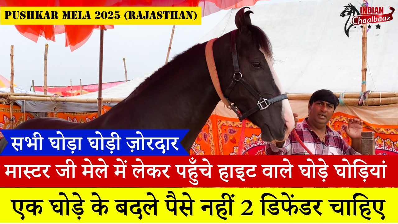मास्टर जी को घोड़े घोड़ियां के बदले पैसे नहीं 2 डिफेंडर चाहिए Pushkar Mela 2025