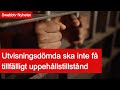 Swebbtv Nyheter 4 december 2025