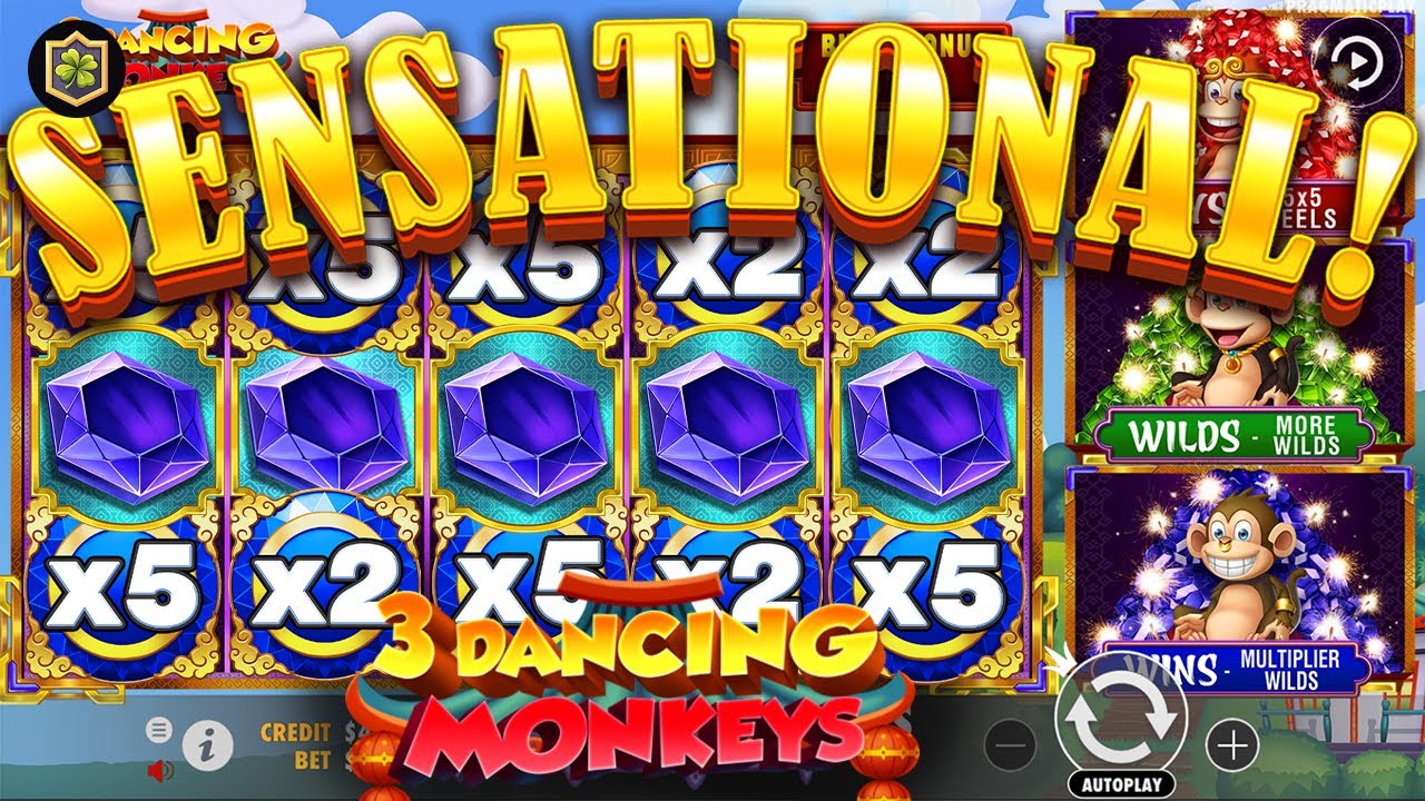 Insane Win!!! 🔥 3 Dancing Monkeys 🔥 NEW Online Slot EPIC Big WIN - Pragmatic and Wild Streak Gaming