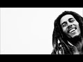 Bob Marley Arabic Translation I Wanna Love You 