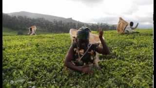 Malawi - The Warm Heart of Africa (2)