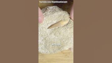 Sandblasting Fossils out of Rock